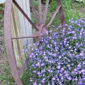 Meet your Posher, Brenda